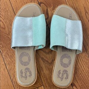 Sorel’s  Silver and Mint Sandals